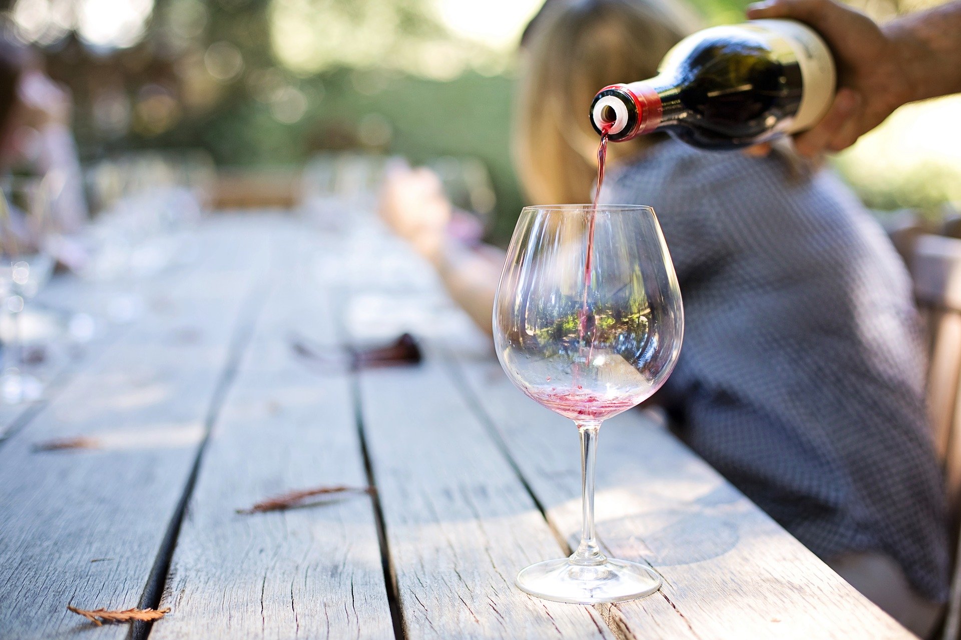 Cata de vinos