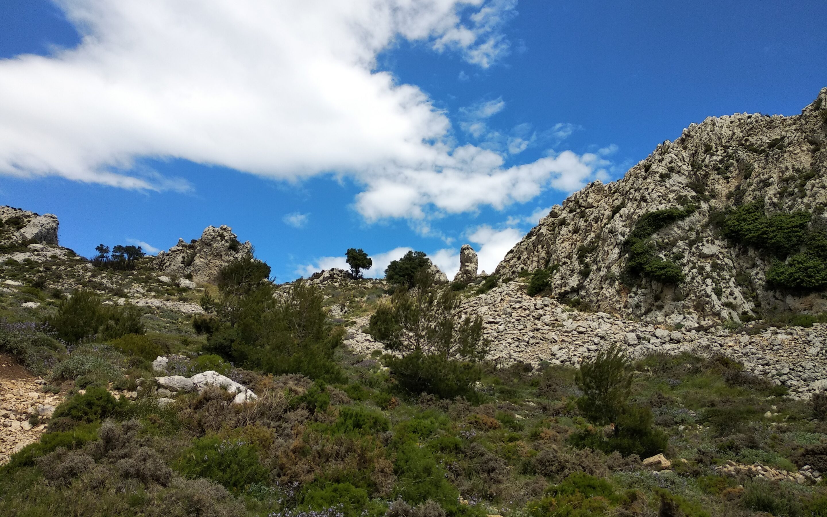 Trail Running Montaña Alicante