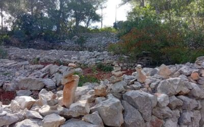 Febrero en VIVE: rutas y actividades